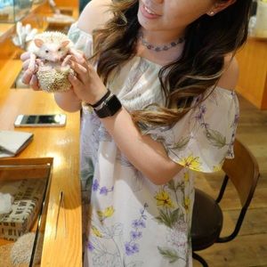 Light pink chiffon off the shoulder dress Small